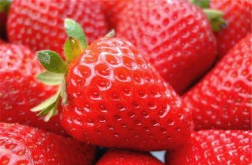 水莓国产视频推荐,尽享莓香四溢的视觉盛宴