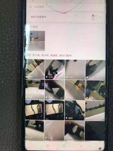 国产女厕所图片视频