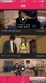 欧美国产日韩视频播放器,功能与体验全面解析