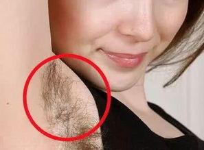 国产裸体胳膊腋毛视频